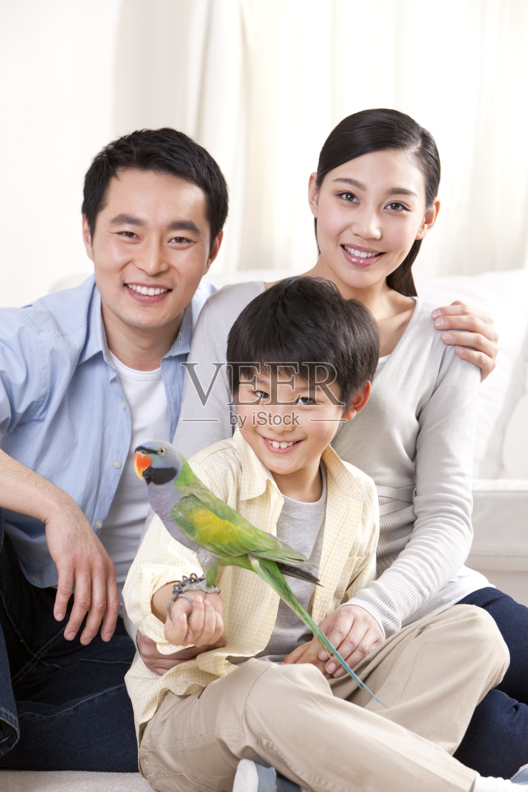 一家三口和鹦鹉照片摄影图片