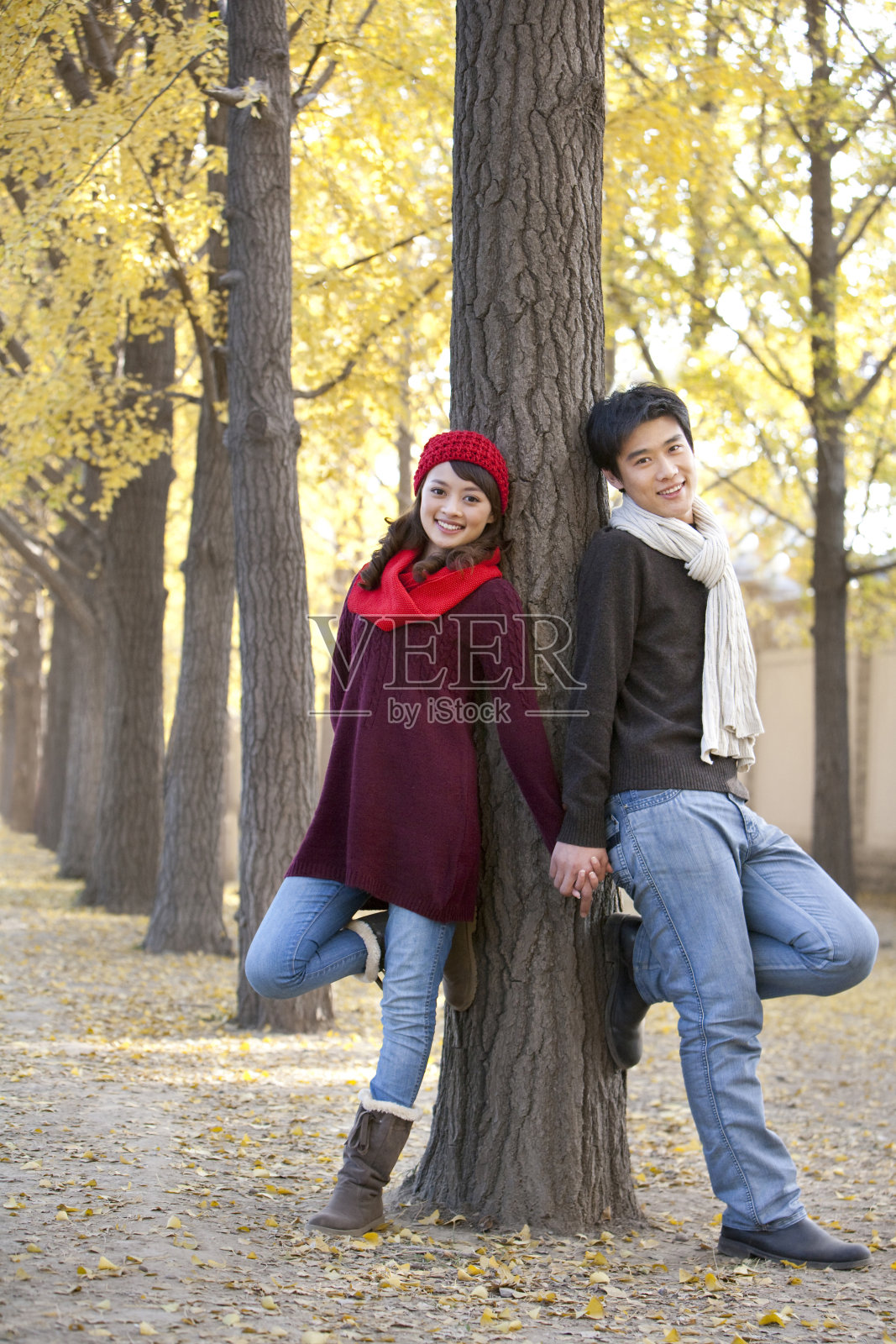 秋日恋曲照片摄影图片