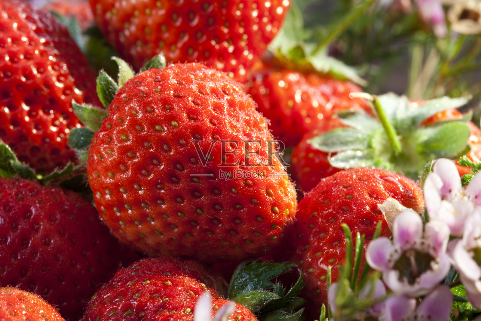 草莓特写照片摄影图片
