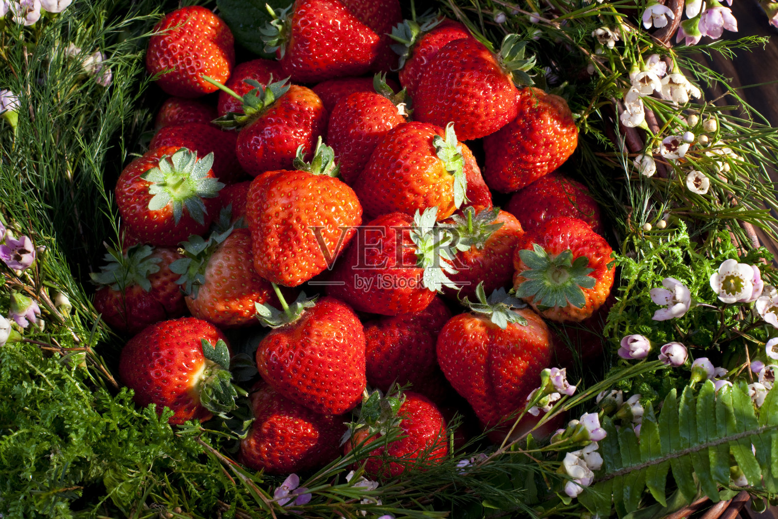 篮子里的草莓照片摄影图片
