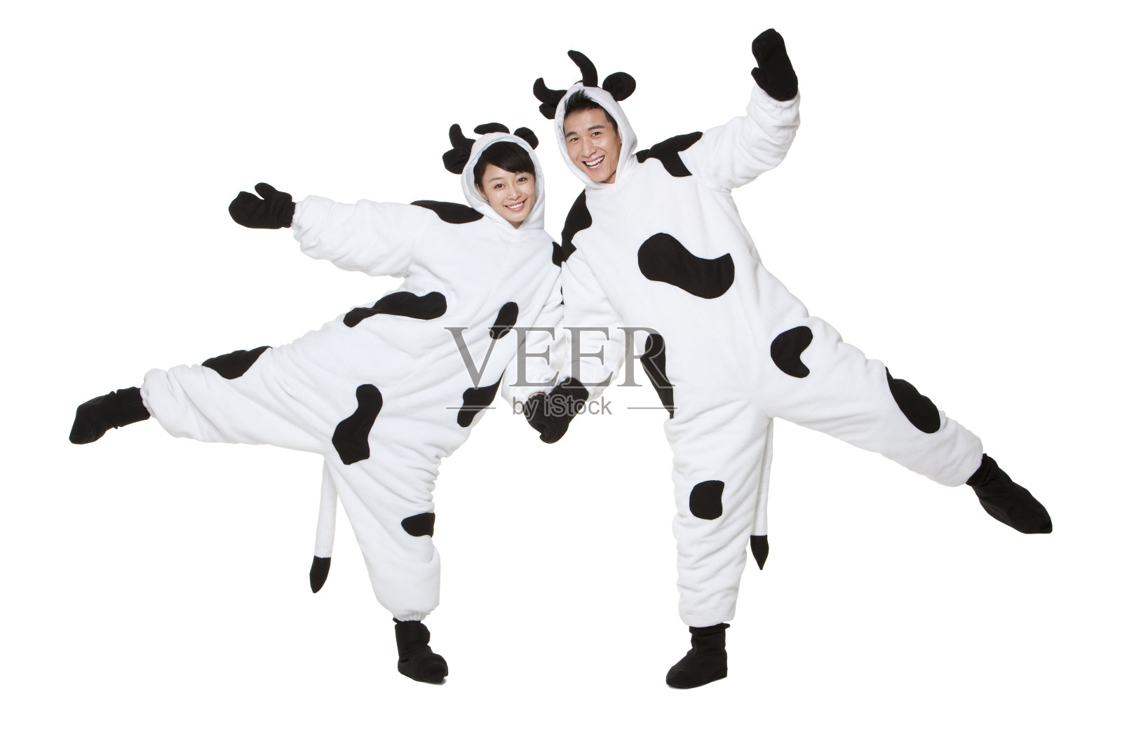 创意奶牛夫妇照片摄影图片