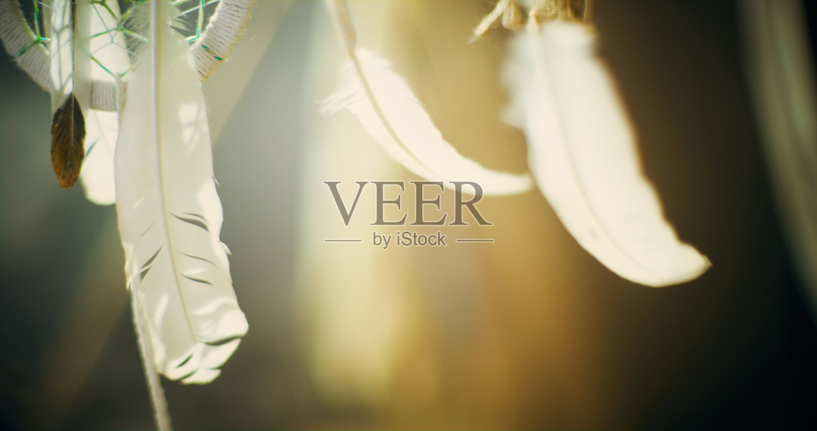 神秘的沙漠帐篷。萨满的绿洲照片摄影图片