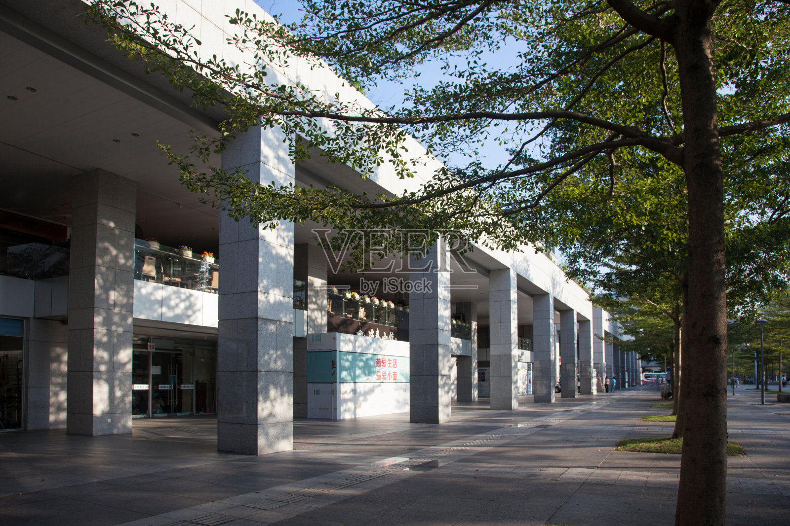 广东省深圳城市建筑照片摄影图片