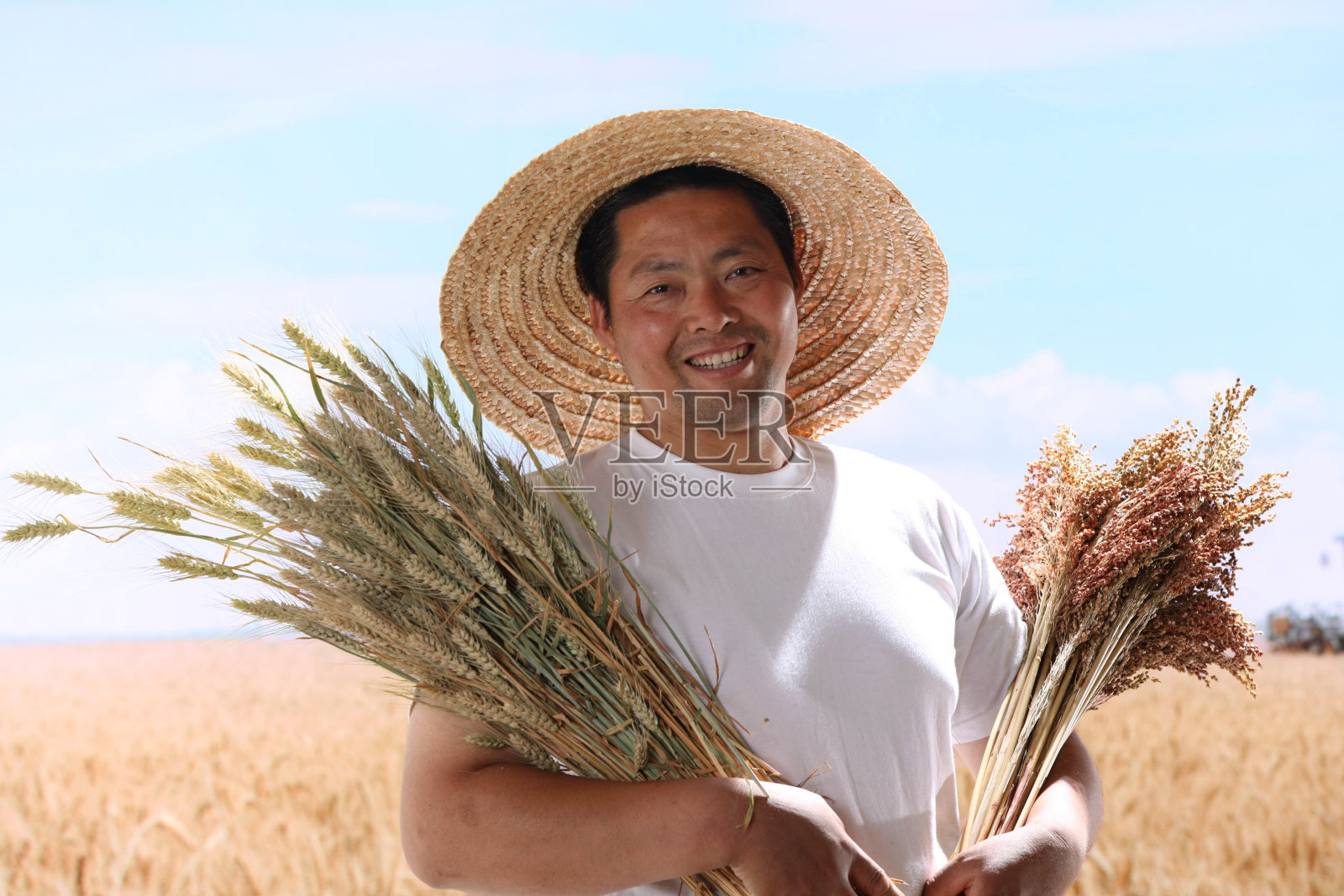 一个农民站在麦田里照片摄影图片