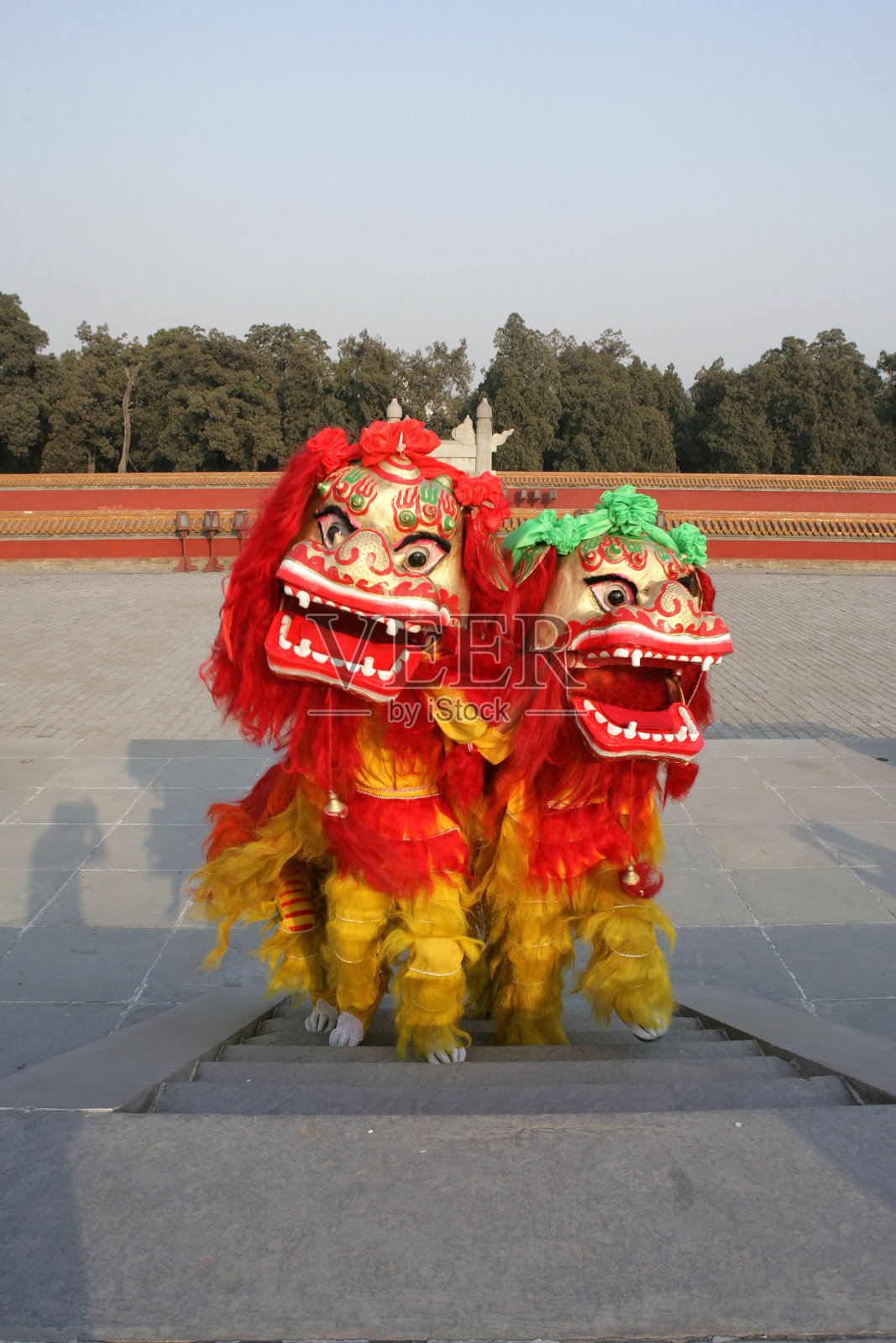 中国舞狮照片摄影图片