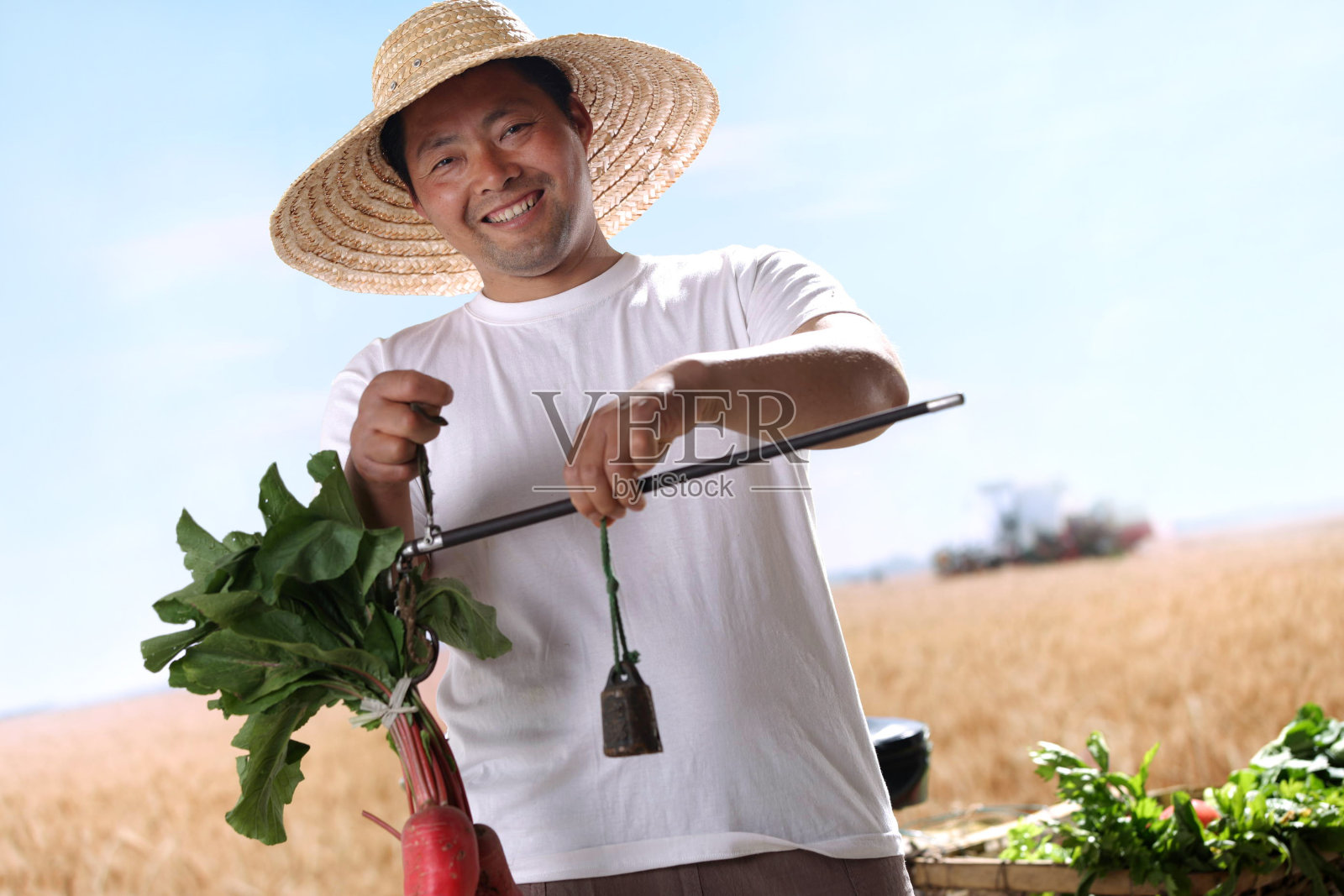 一个农民在麦田里卖菜照片摄影图片