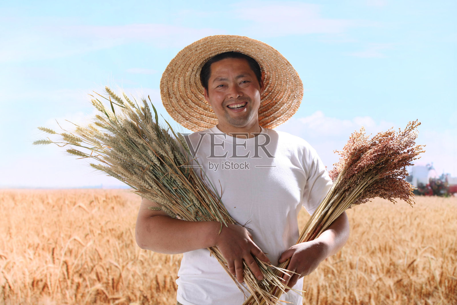 一个农民站在麦田里照片摄影图片