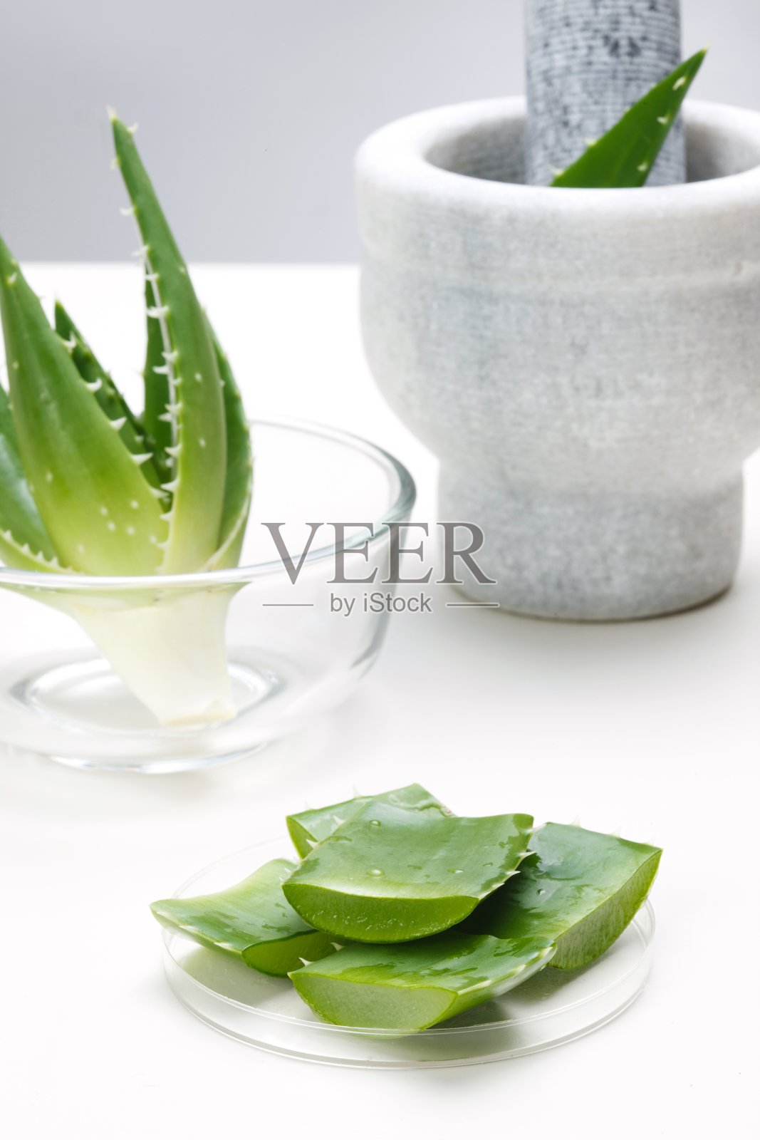 清新芦荟照片摄影图片