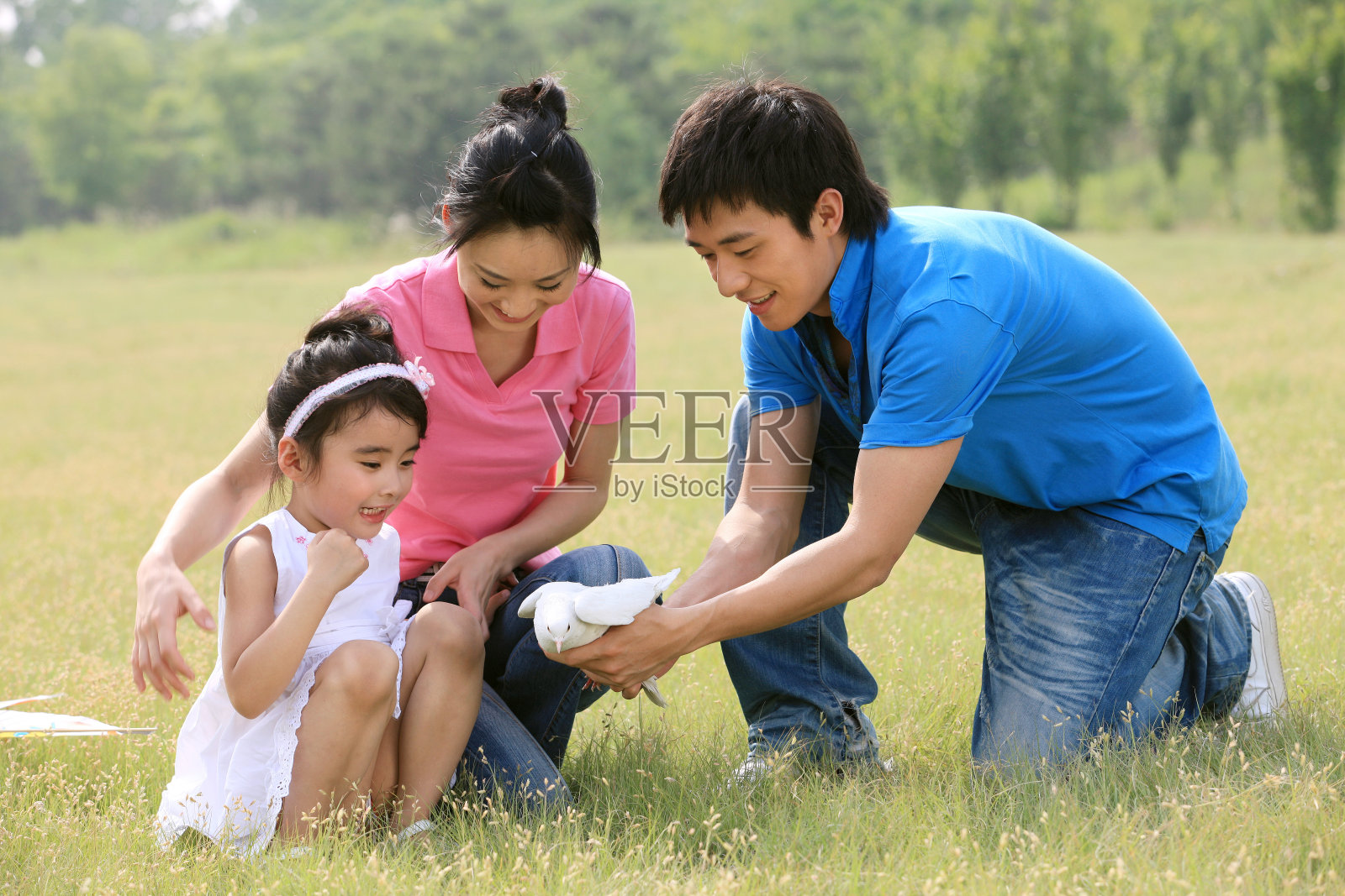 东方一家三口在草地上喂鸽子照片摄影图片