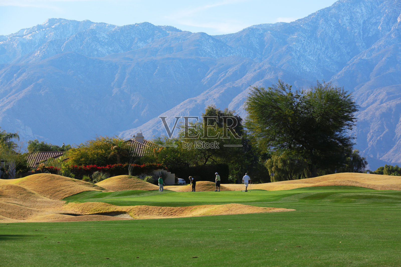 高尔夫球场照片摄影图片