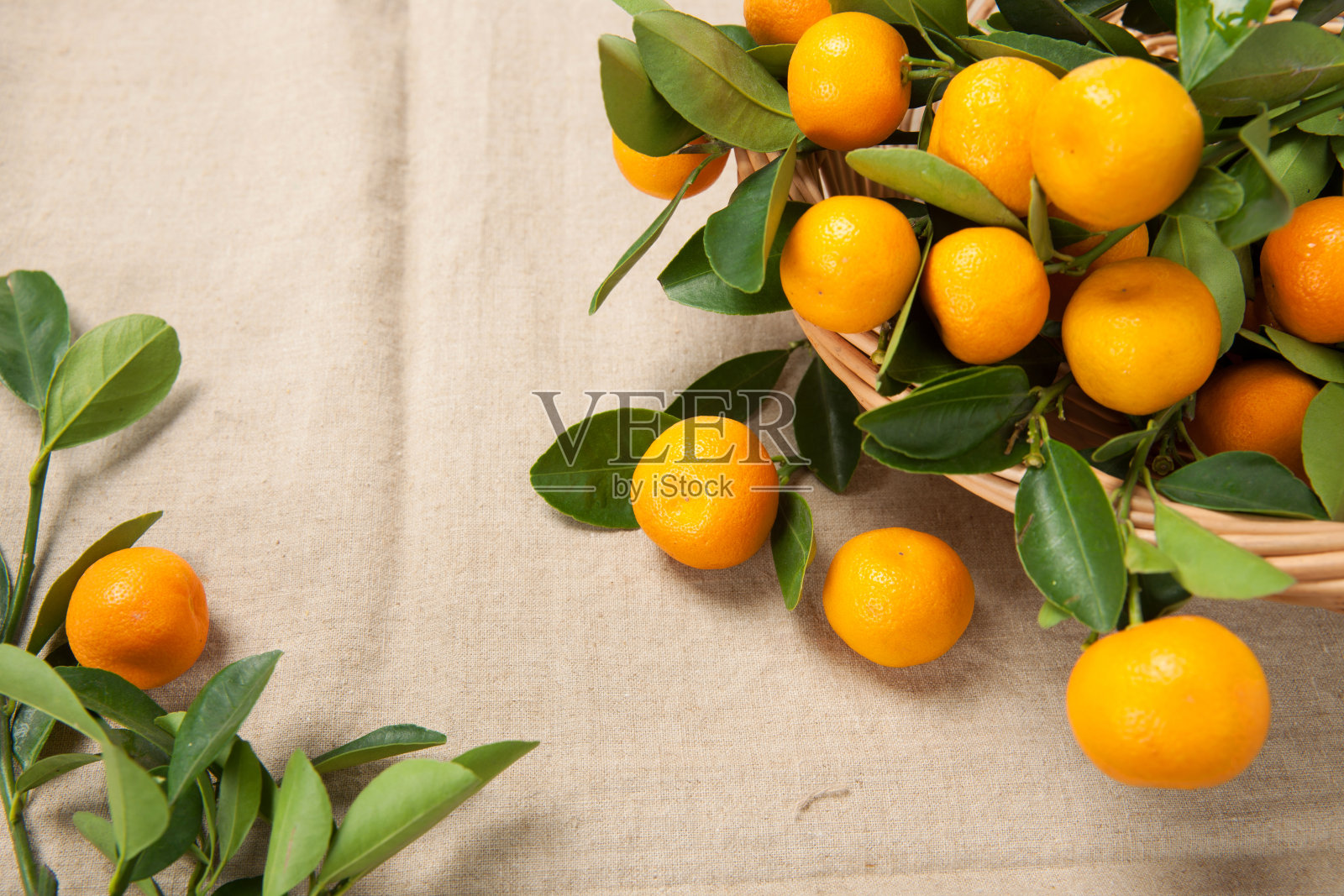 桔子照片摄影图片