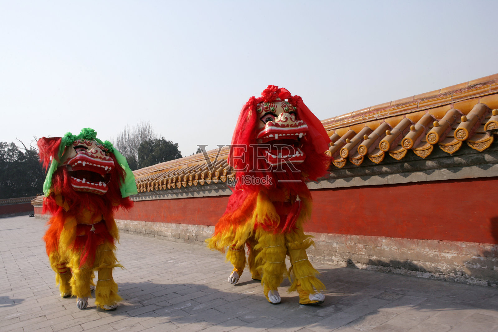 中国舞狮照片摄影图片