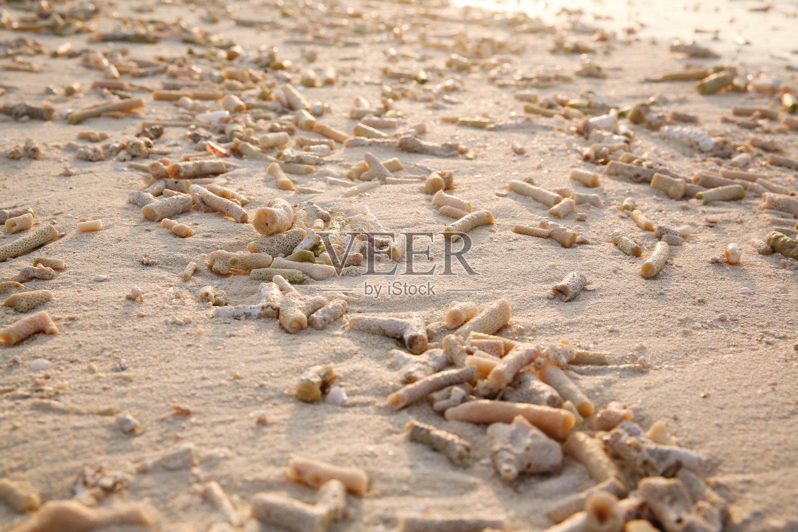 马尔代夫海景照片摄影图片