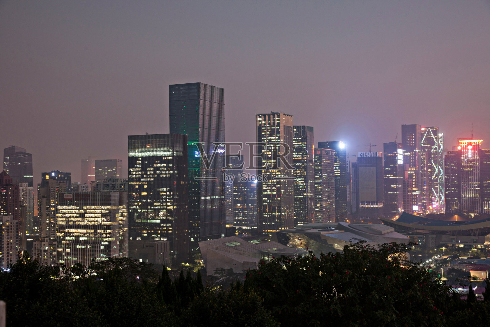 广东省深圳莲花山夜景照片摄影图片