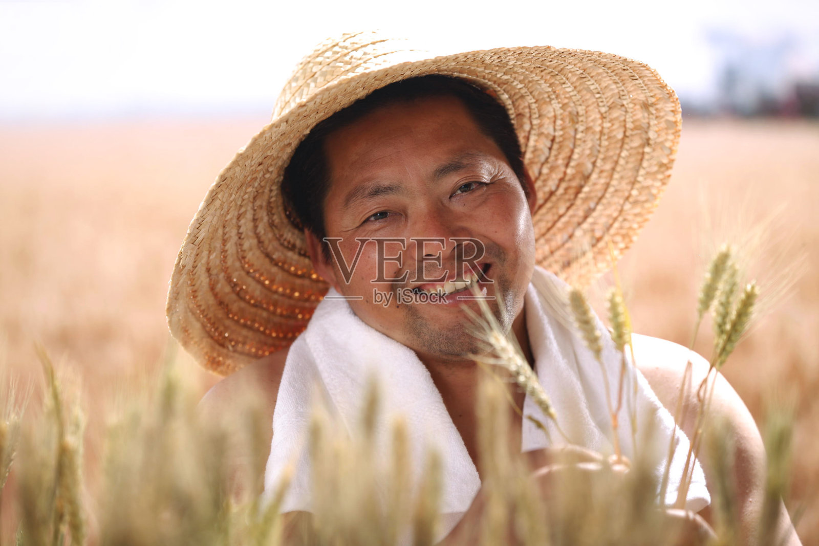 一个农民在麦田里照片摄影图片