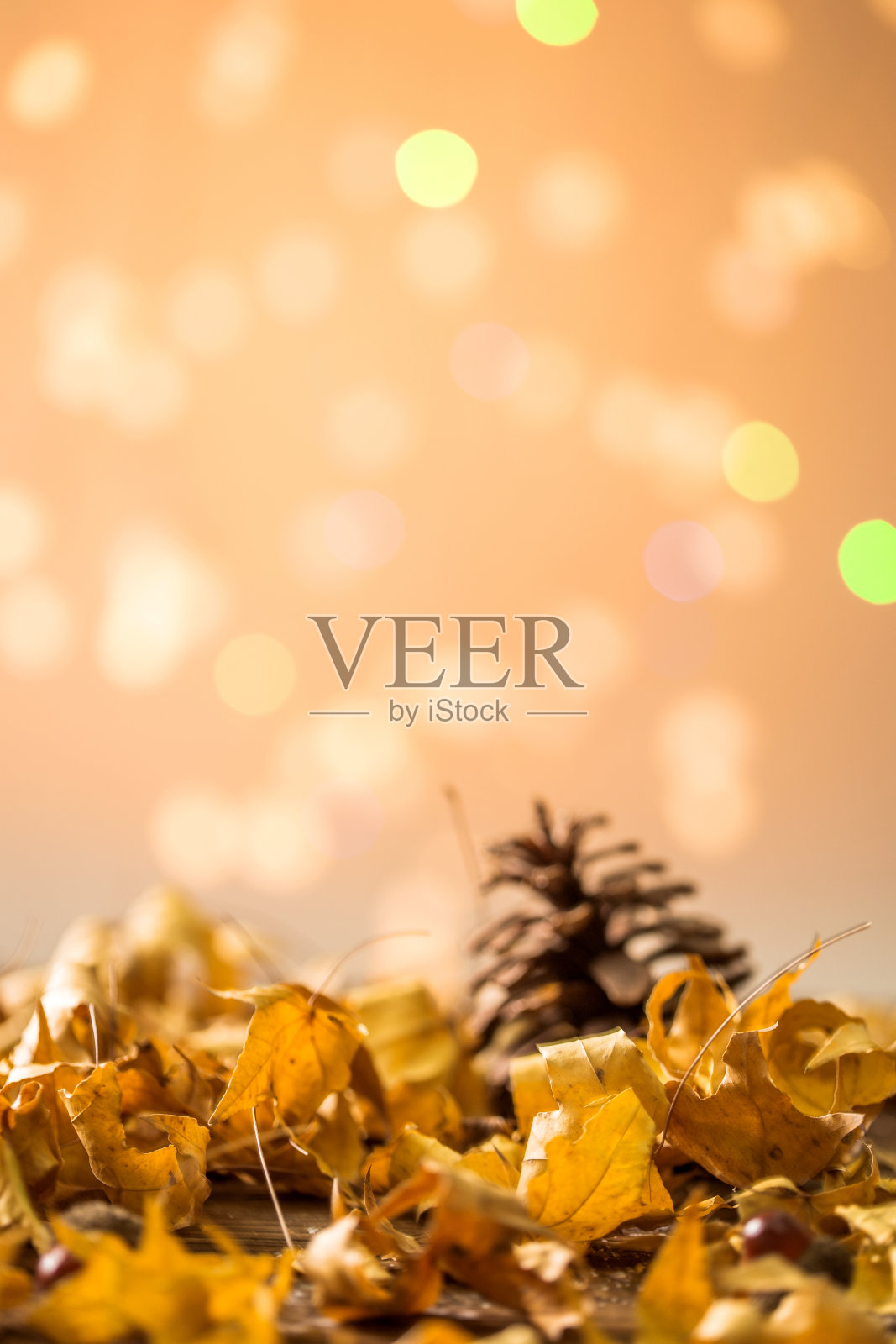 枯叶照片摄影图片