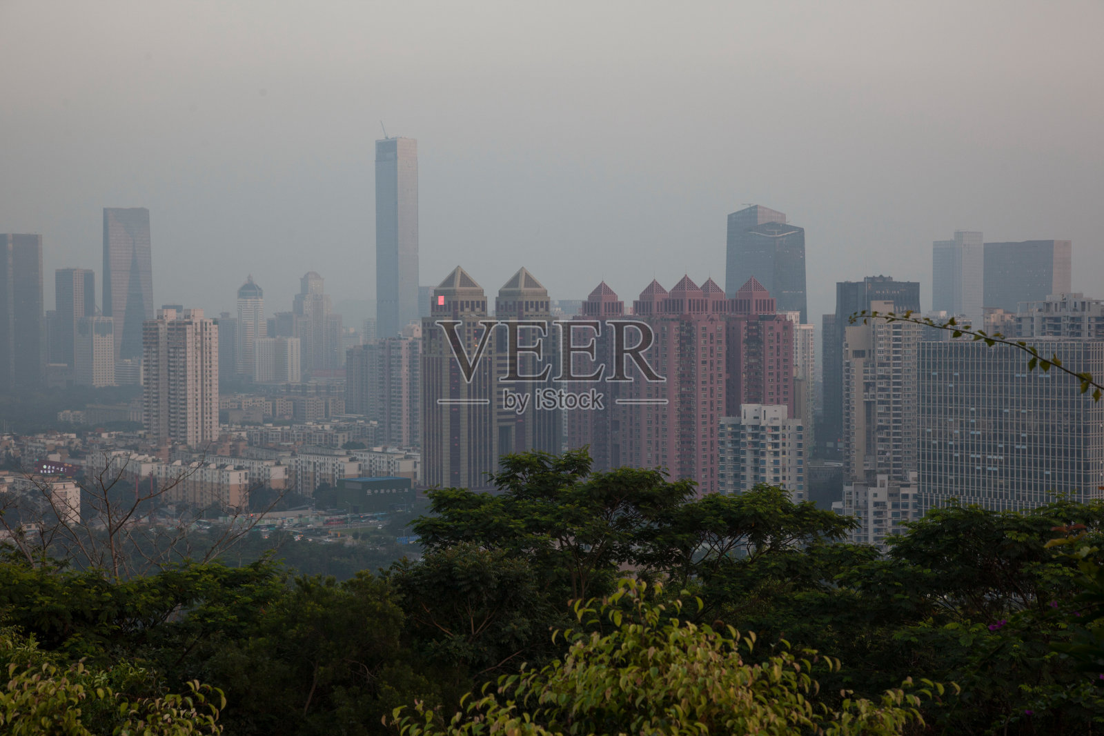 广东省深圳莲花山照片摄影图片