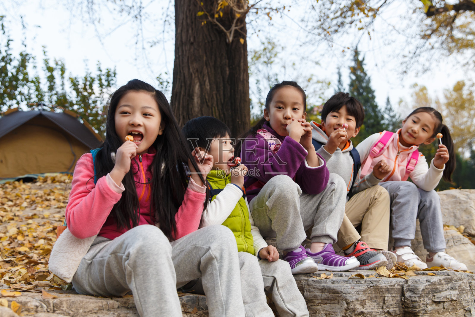 可爱的男孩女孩在户外玩耍照片摄影图片