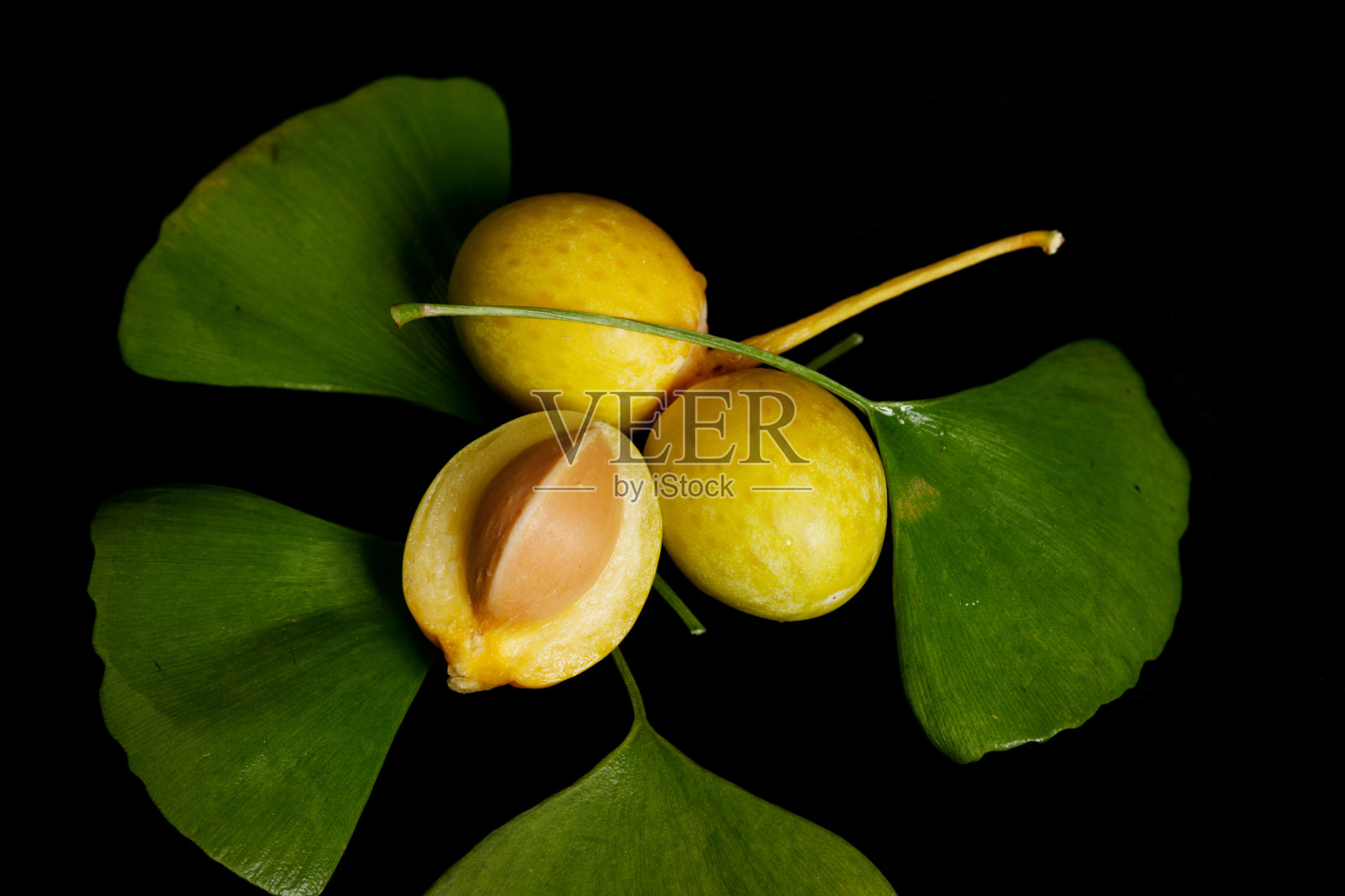 静物银杏照片摄影图片