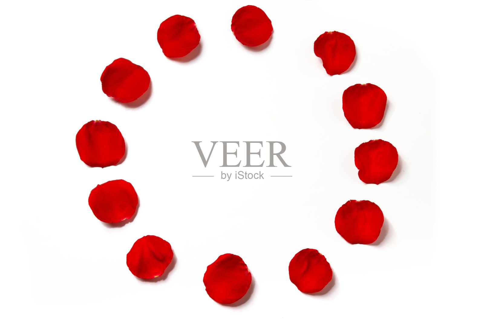 花瓣组成一个圆照片摄影图片