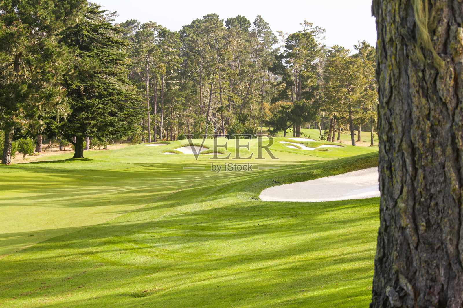 高尔夫球场照片摄影图片