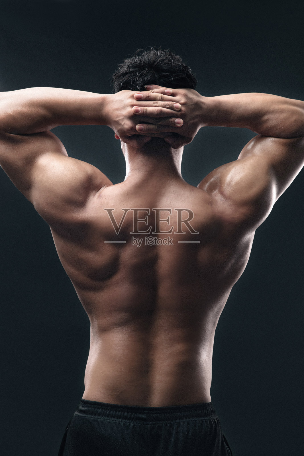 年轻的男健美运动员的背视图照片摄影图片