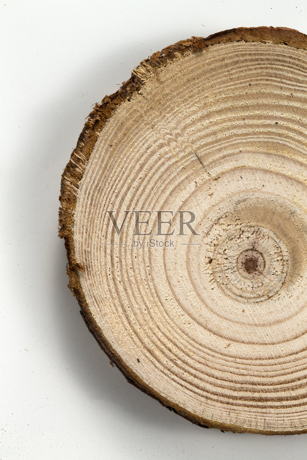 年轮照片摄影图片