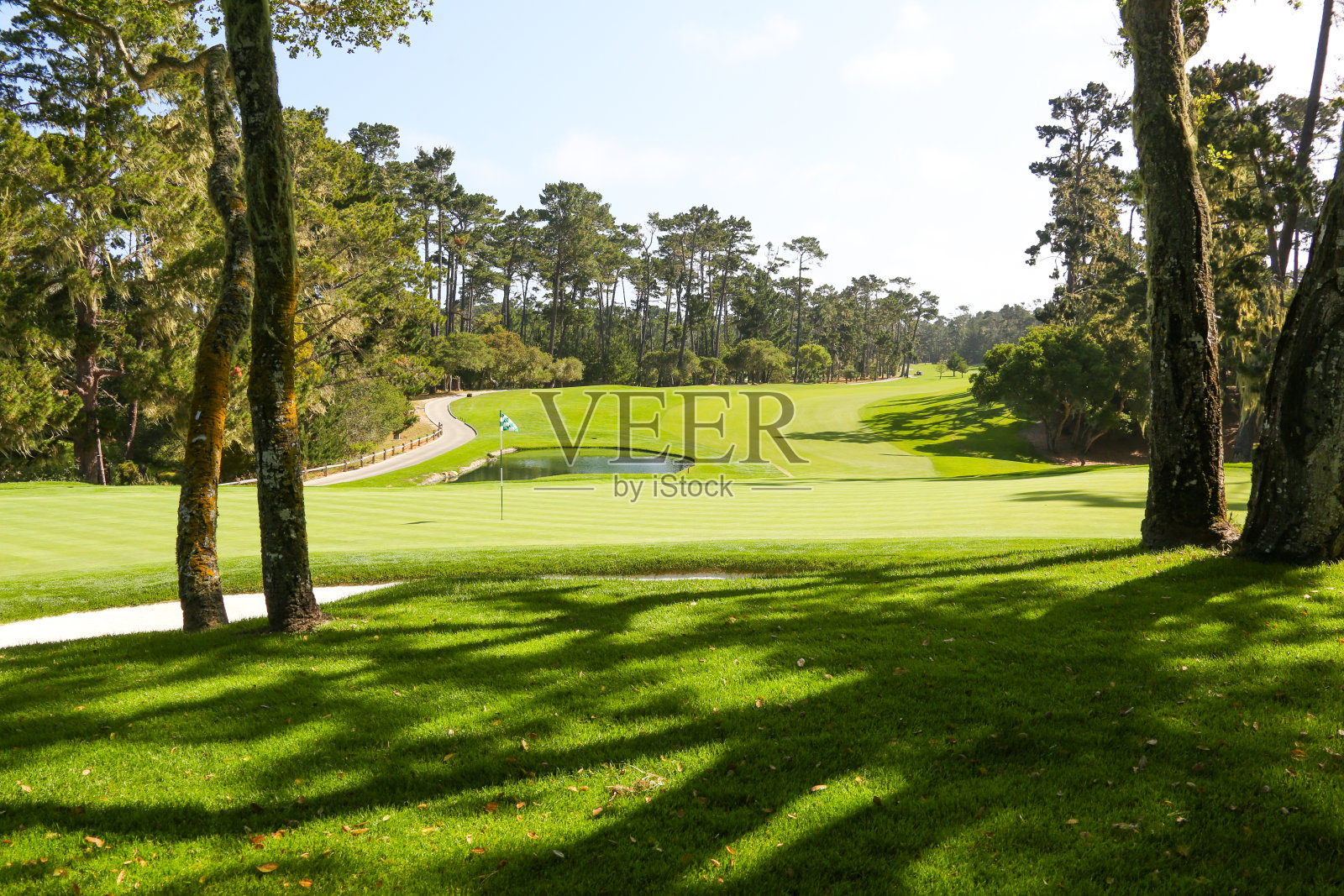 高尔夫球场照片摄影图片