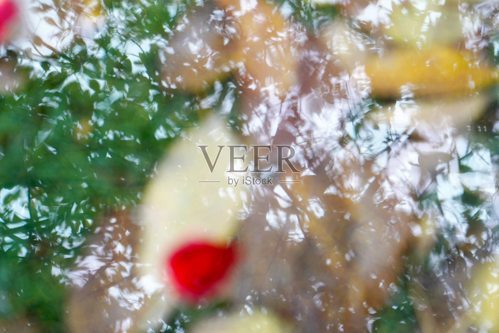 水面的倒影照片摄影图片