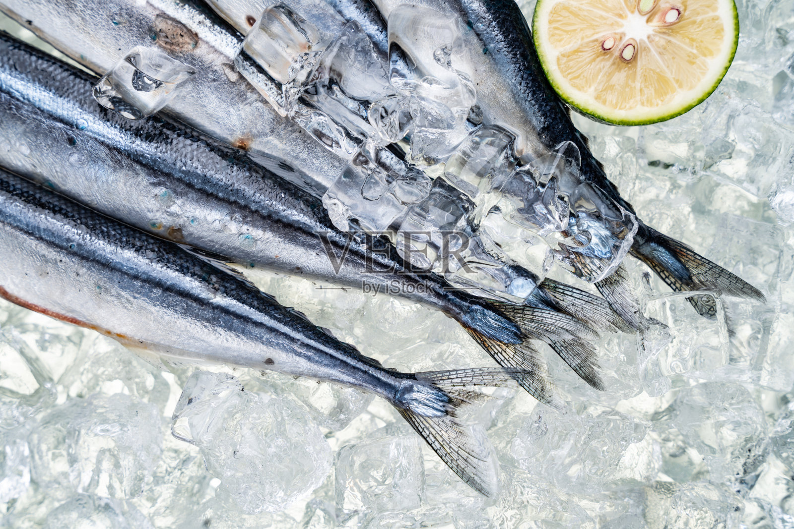 秋刀鱼照片摄影图片