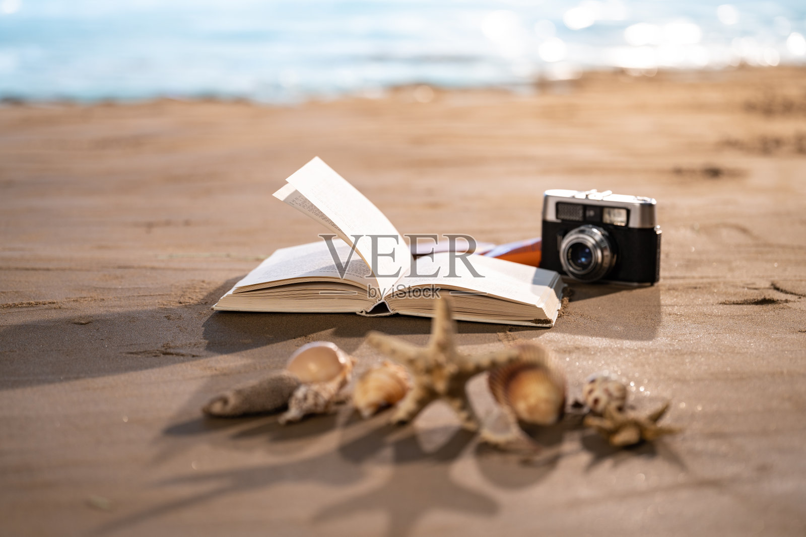 沙滩静物照片摄影图片