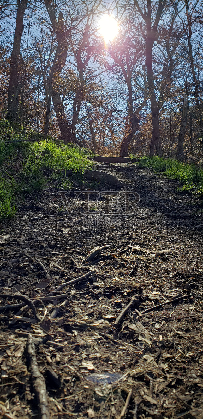 甜蜜的时刻照片摄影图片