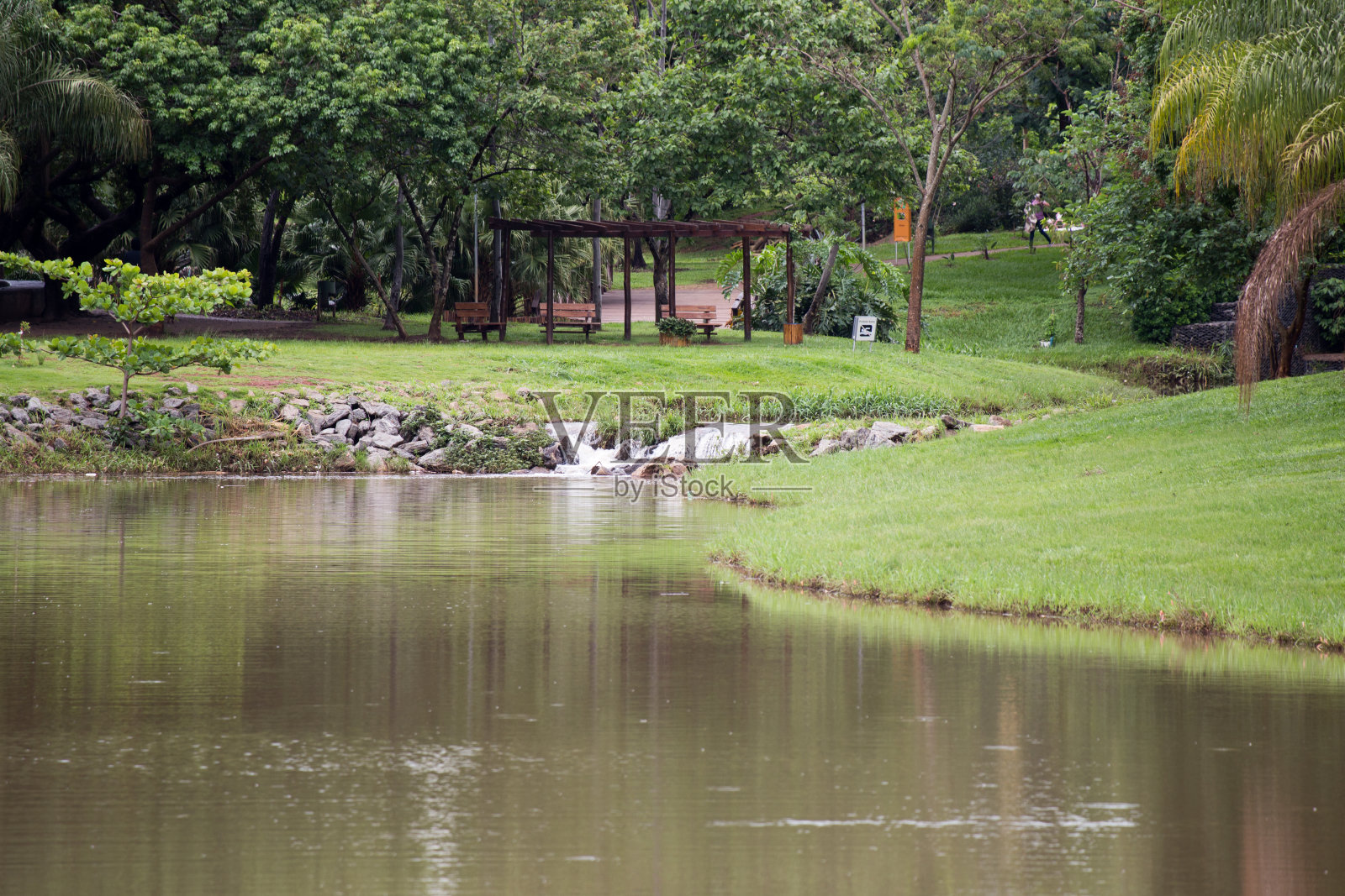 自然照片摄影图片