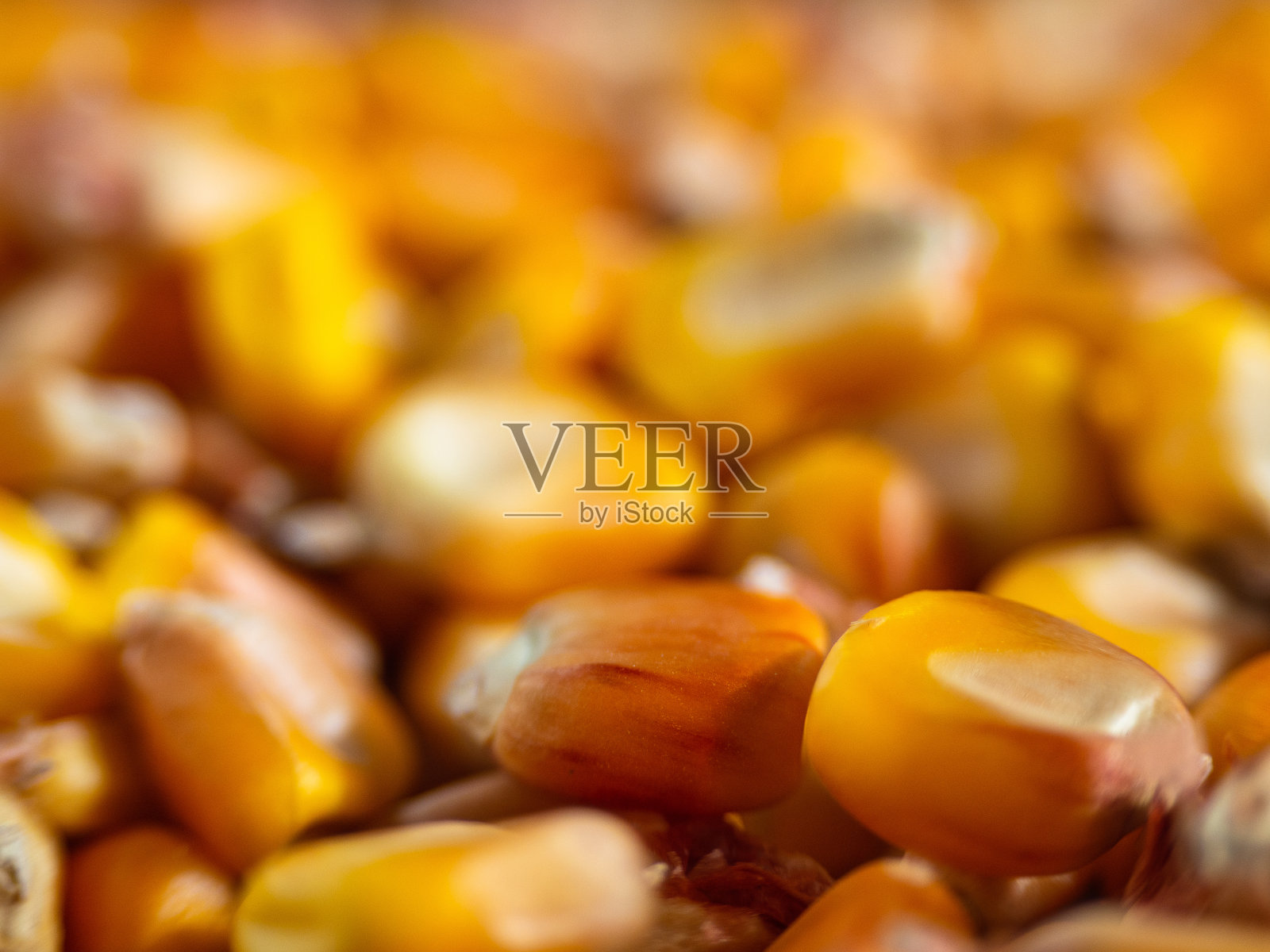 玉米粒特写食物背景照片摄影图片