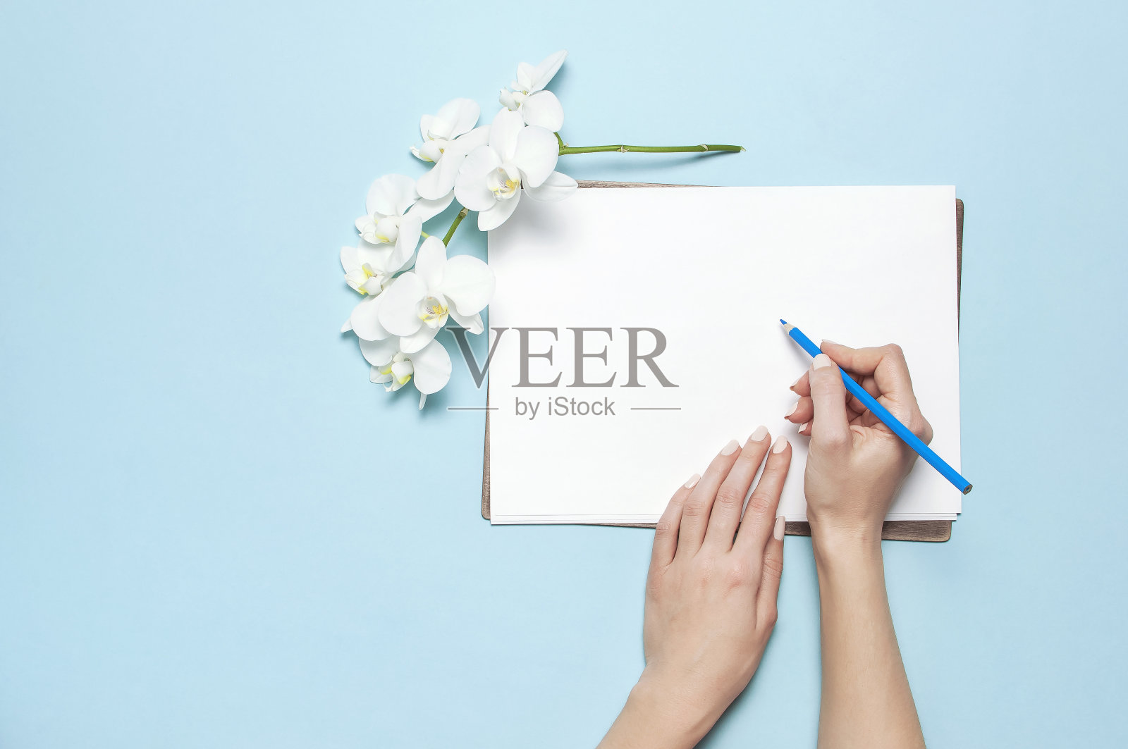 女人的手用温柔的指甲握着铅笔，空白的白纸纸，蝴蝶兰花枝在蓝色的背景上俯视图平躺着。计划的概念。为您的设计提供模型照片摄影图片
