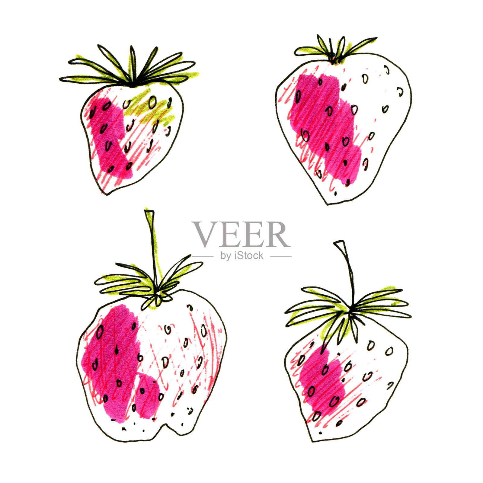 手绘草莓套装。收集粉红色的草莓和绿色的叶子，用黑色的涂鸦笔画孤立在白色上。背景。设计、包装、标签、装饰插图。插画图片素材