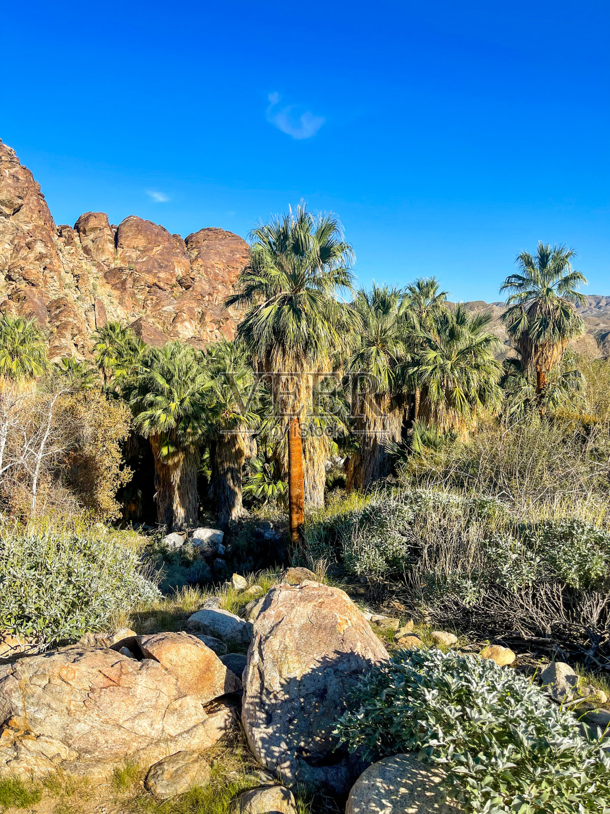 沙漠的日落照片摄影图片
