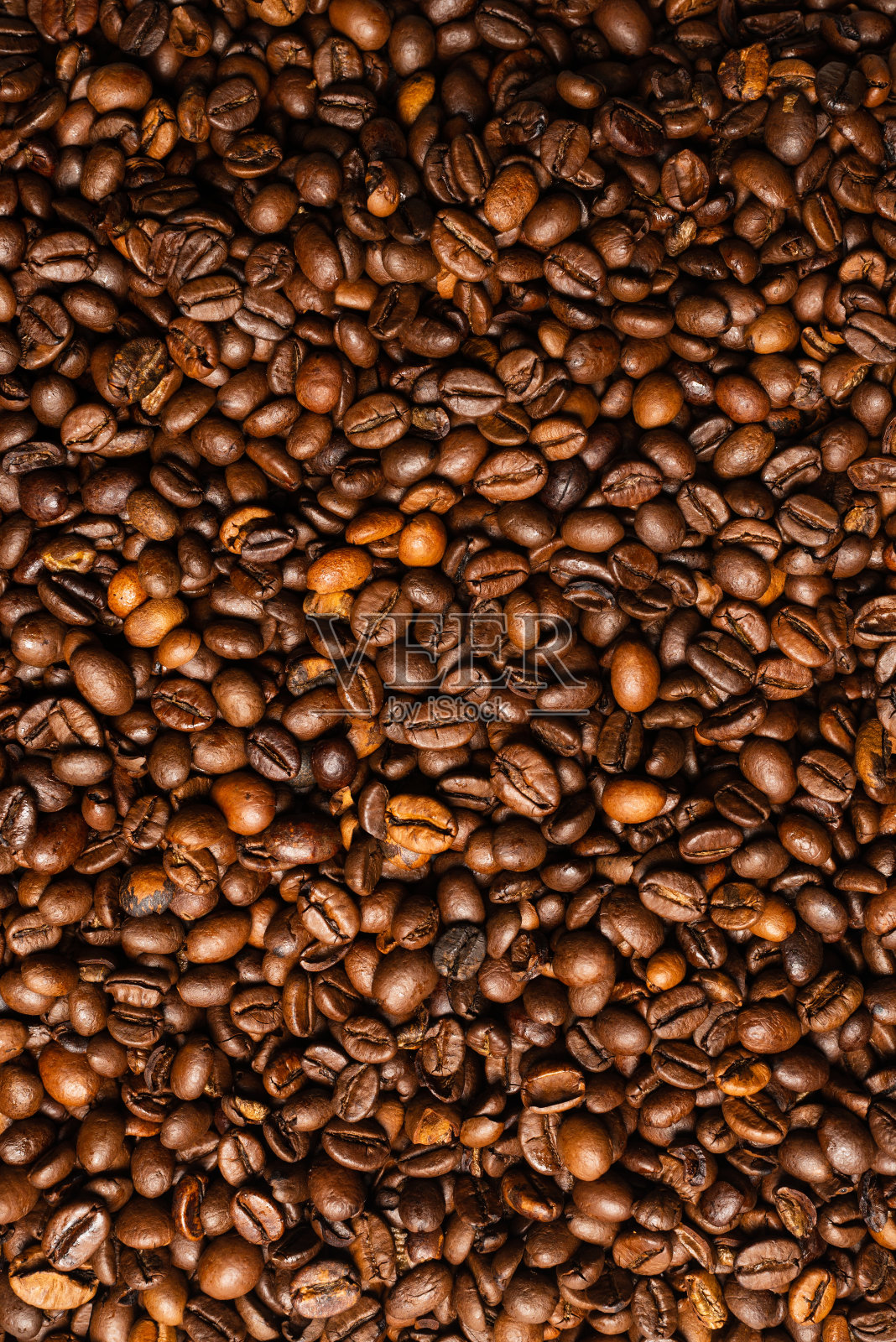 白色背景上的咖啡豆。前视图。照片摄影图片