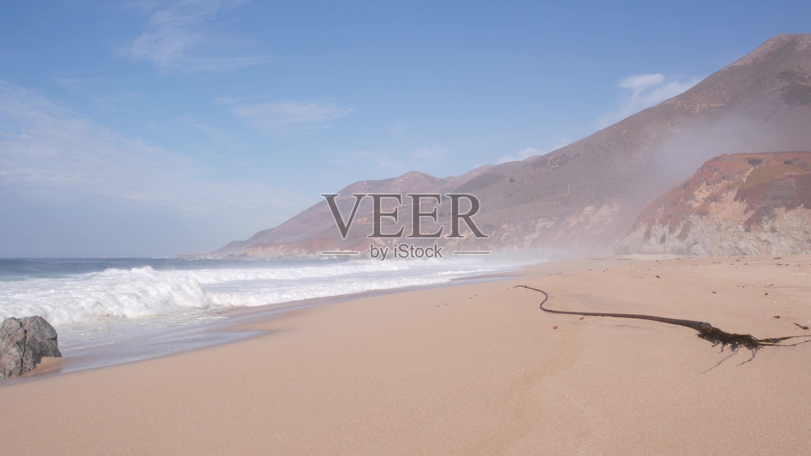 海带上的海藻，沙滩上的海藻，海浪汹涌，加州海岸溅起海水照片摄影图片