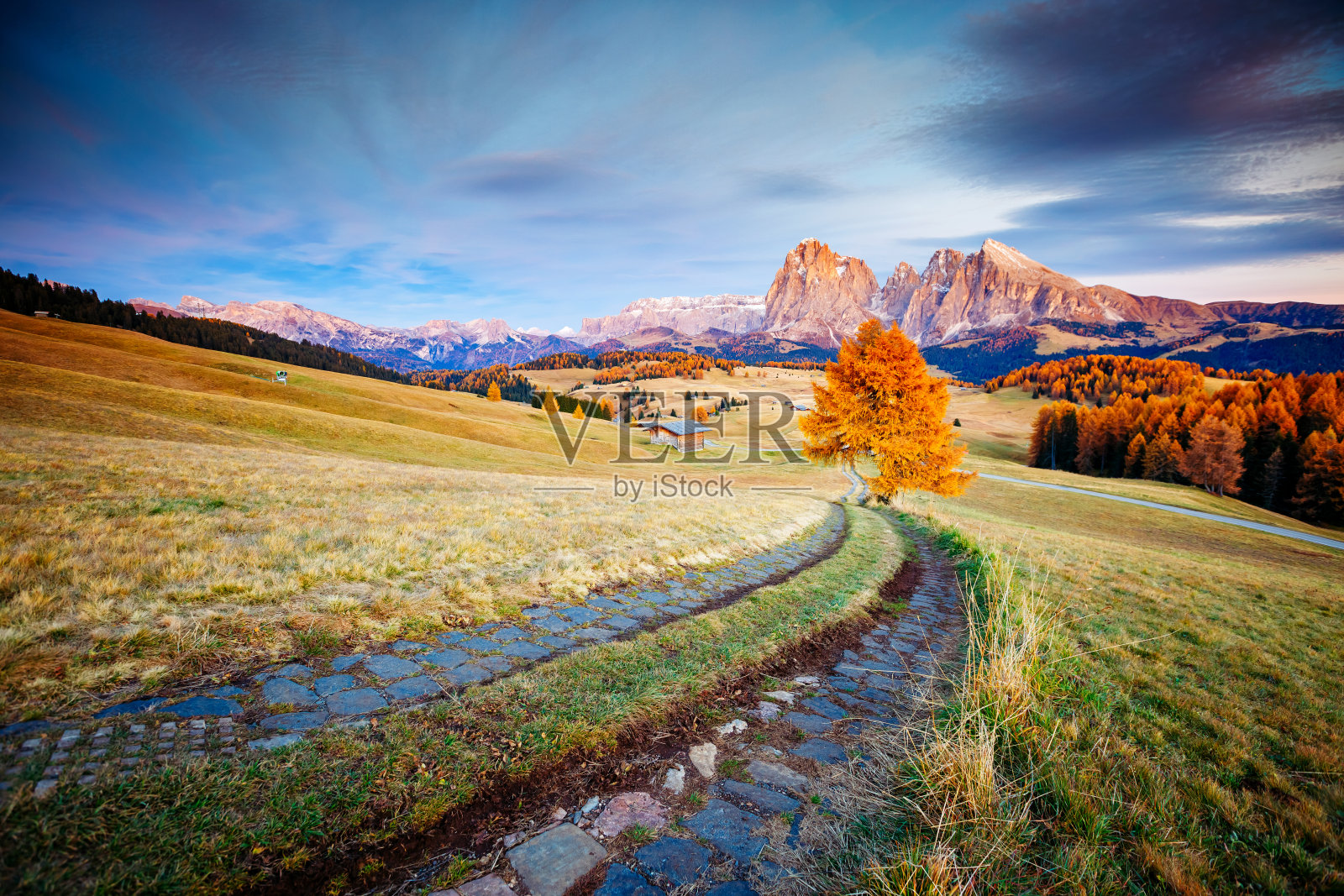 景色明亮的山丘形象。位于意大利南蒂罗尔的Seiser Alm或Alpe di Siusi。照片摄影图片