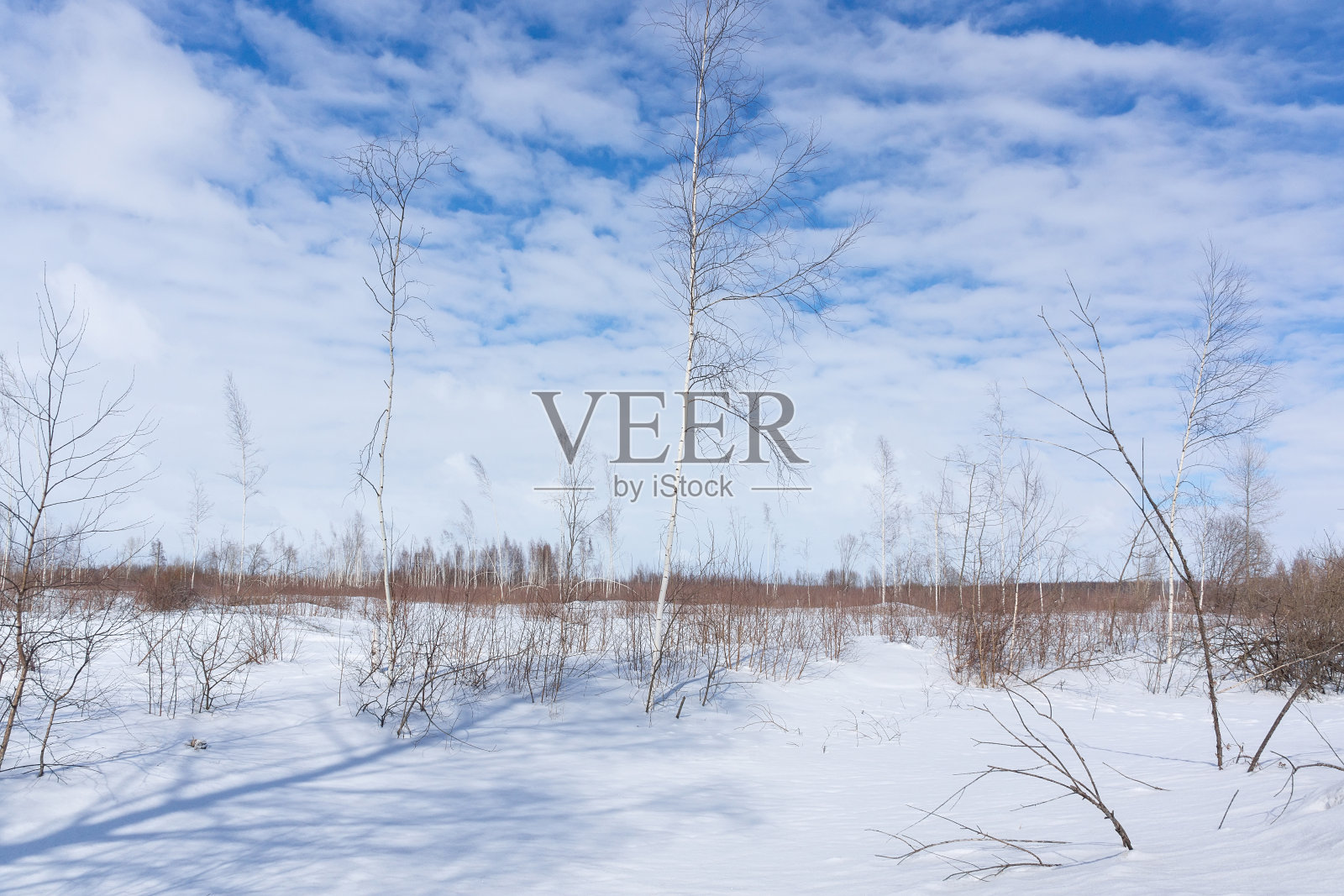 俄罗斯冬季日出自然景观照片摄影图片