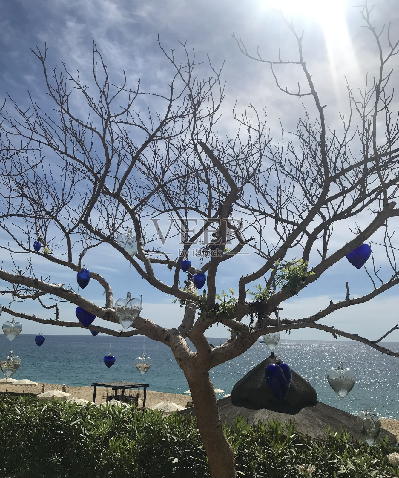 挂满玻璃心形饰品的树，背景是海洋照片摄影图片