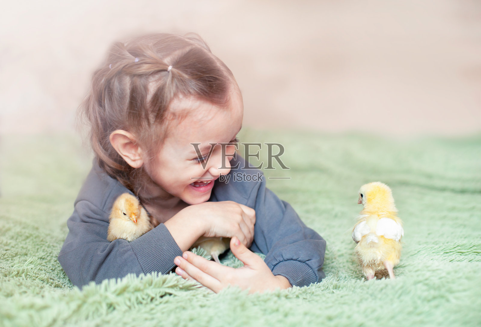 小女孩和小鸡照片摄影图片