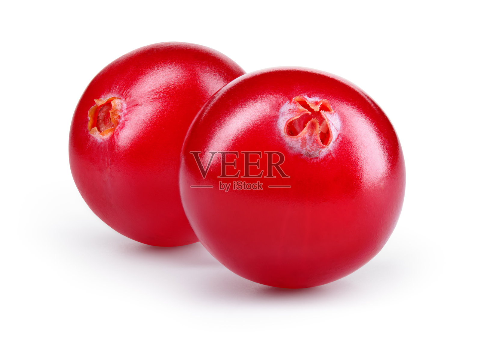 蔓越莓孤立。白色背景上的蔓越莓。两个蔓越莓与修剪路径。全景深。照片摄影图片