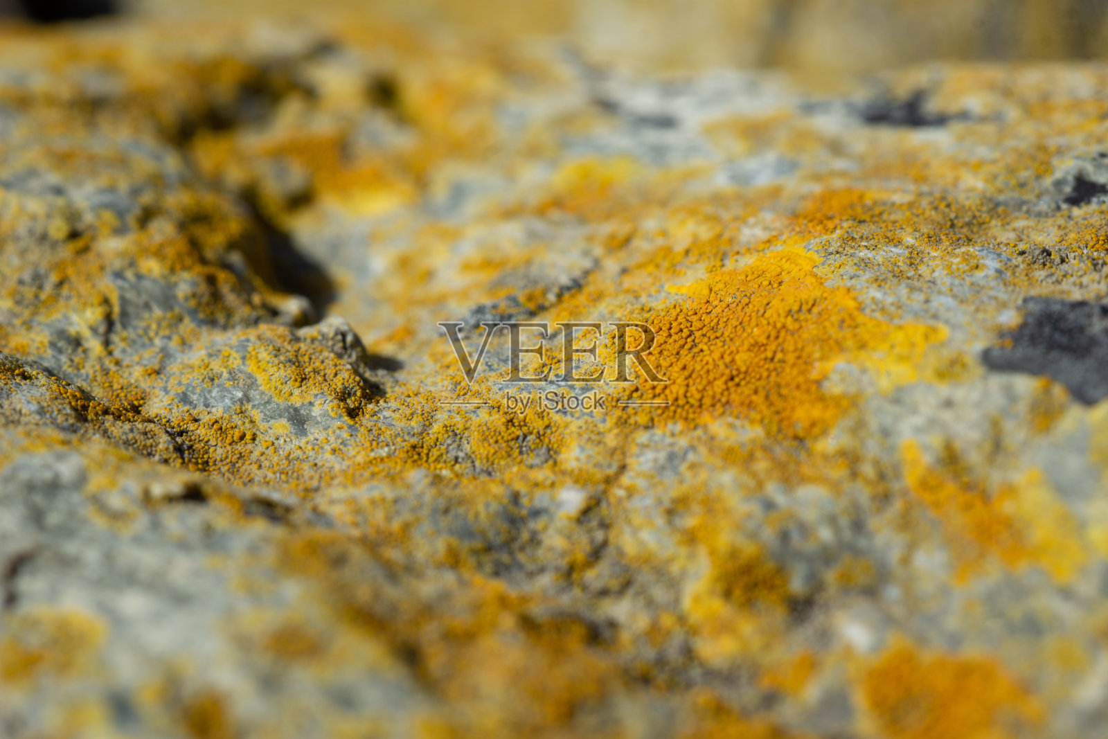 石头模式照片摄影图片