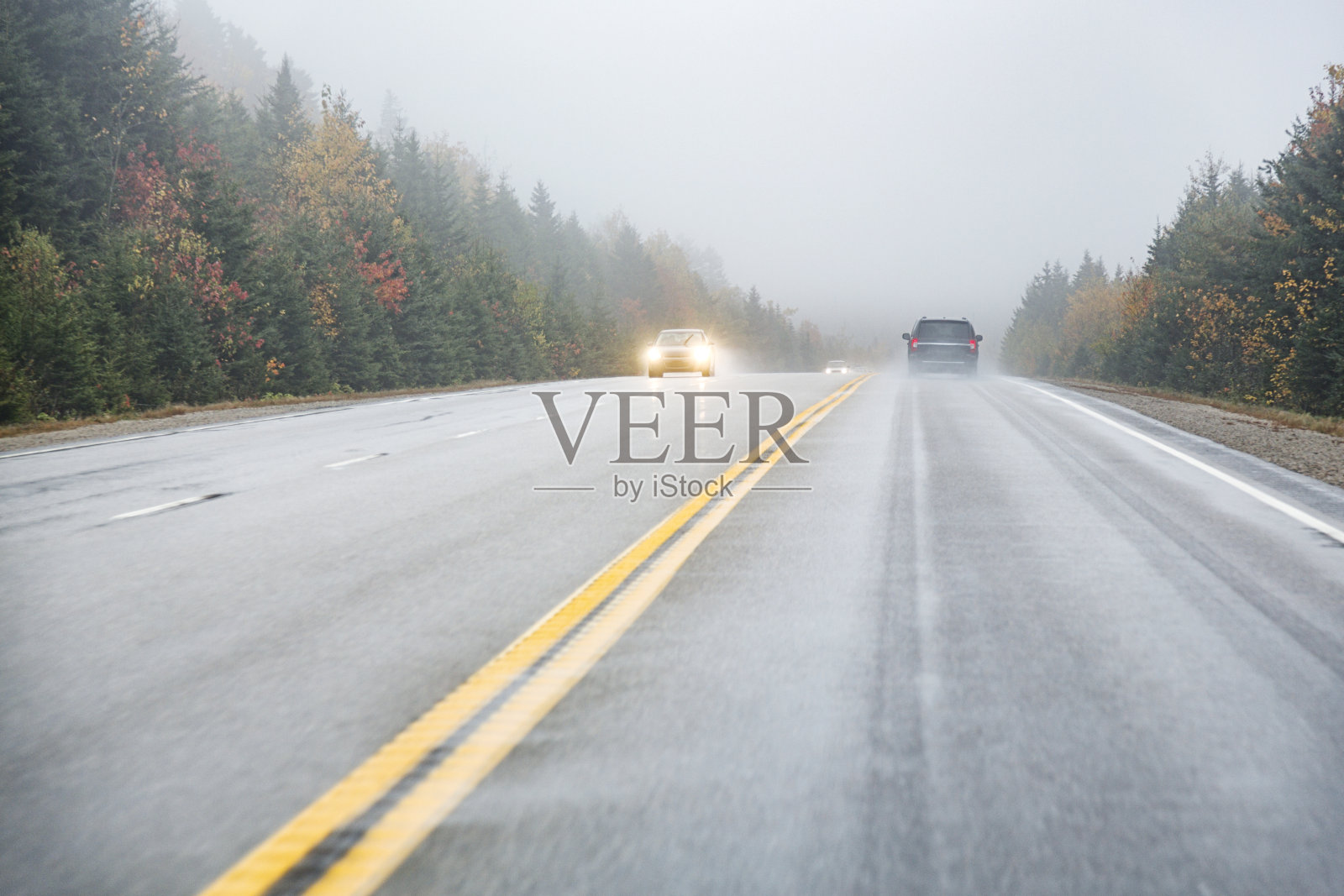 在湿滑的加拿大高速公路上的汽车视角照片摄影图片
