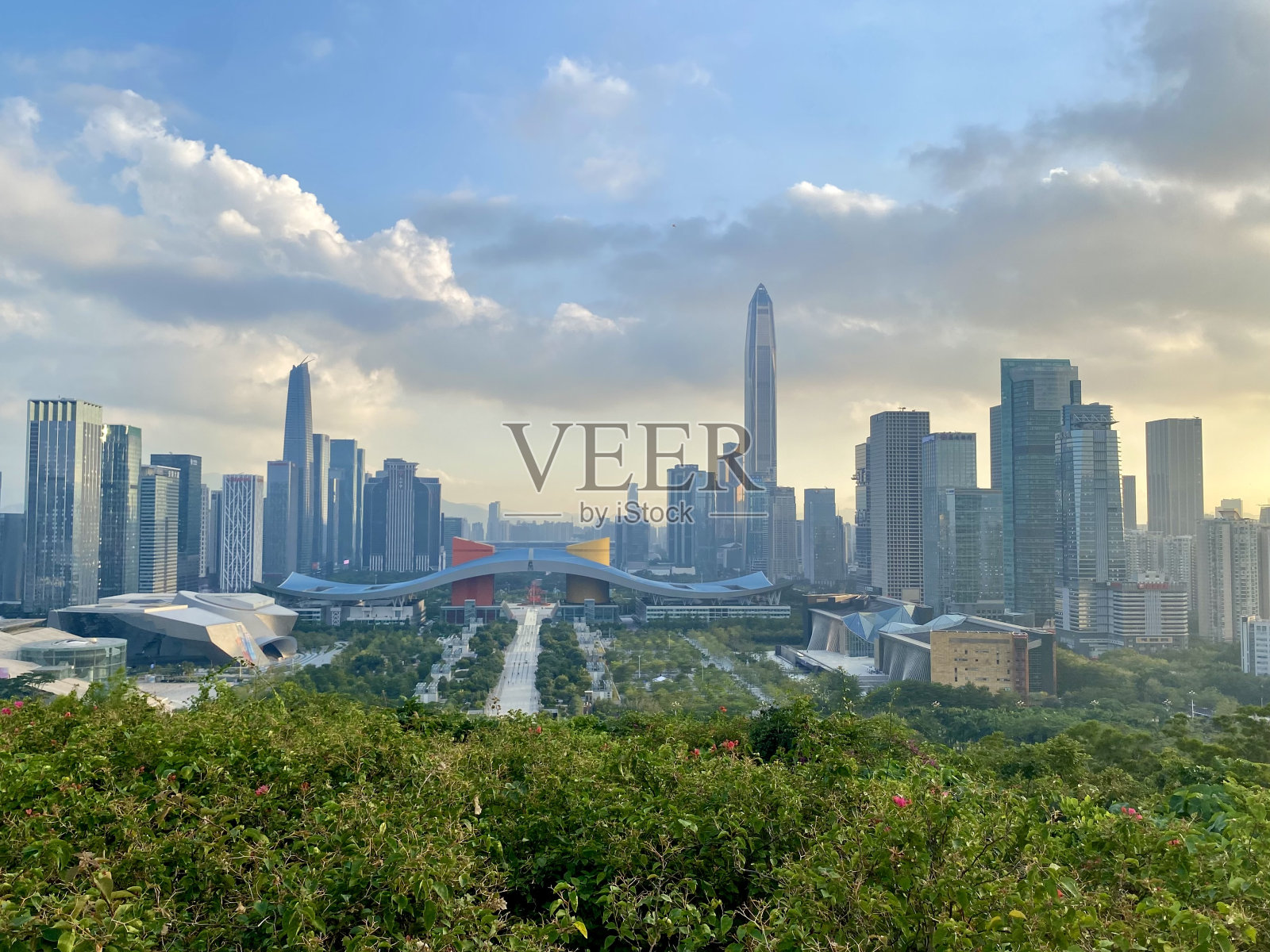 深圳的自然风光照片摄影图片