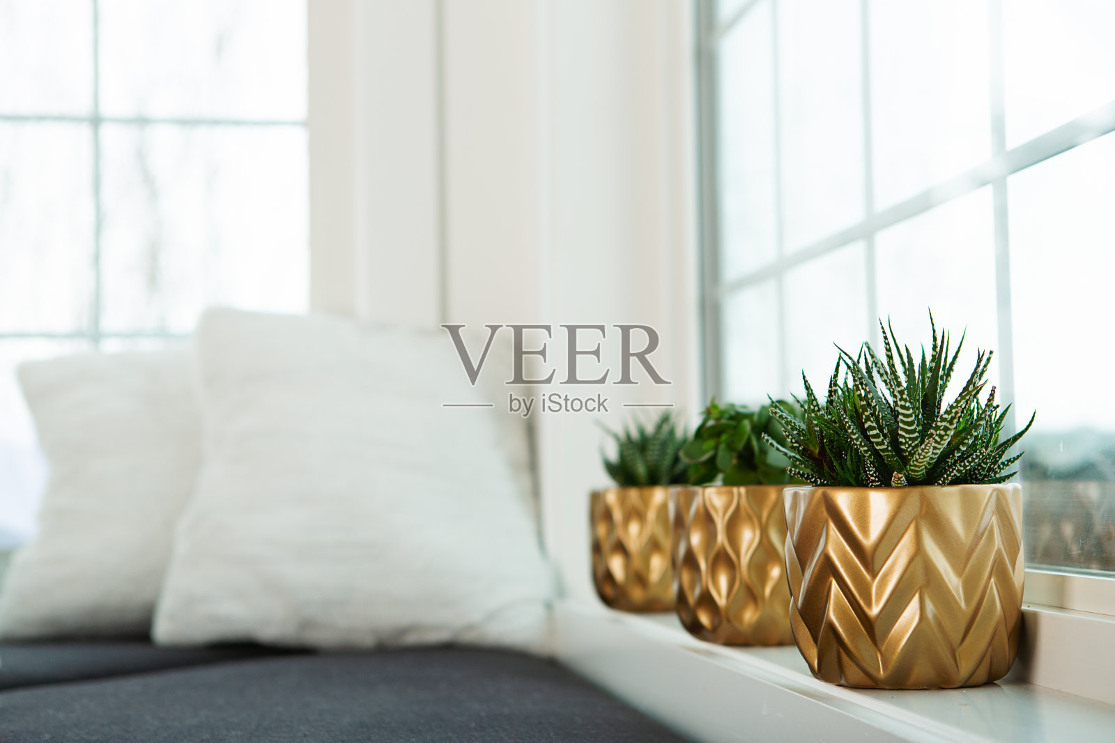 窗台上金盆中的三株多肉植物照片摄影图片