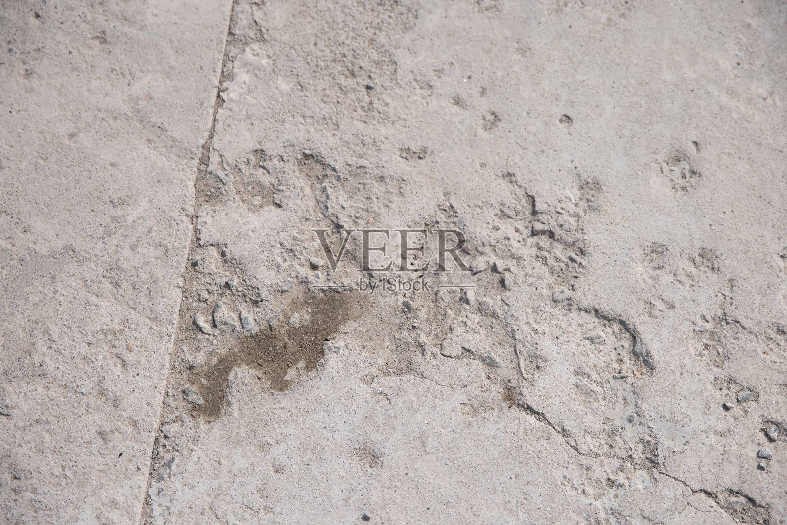 春天是植物重新生长的季节照片摄影图片