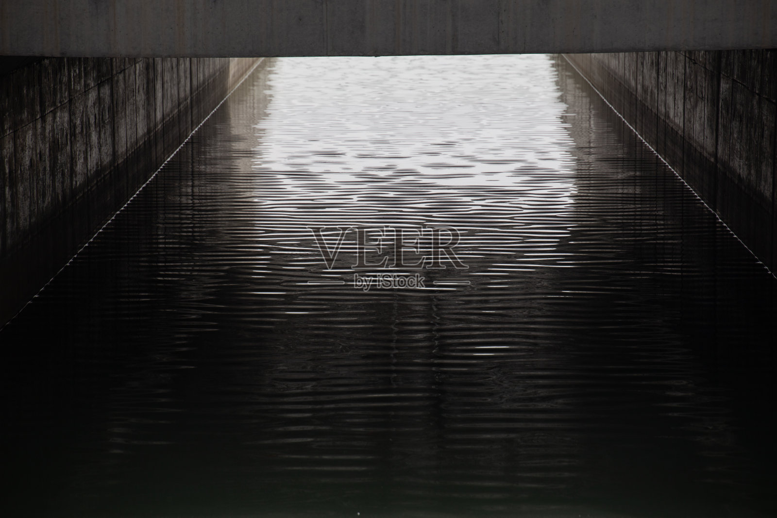 春天是植物重新生长的季节照片摄影图片